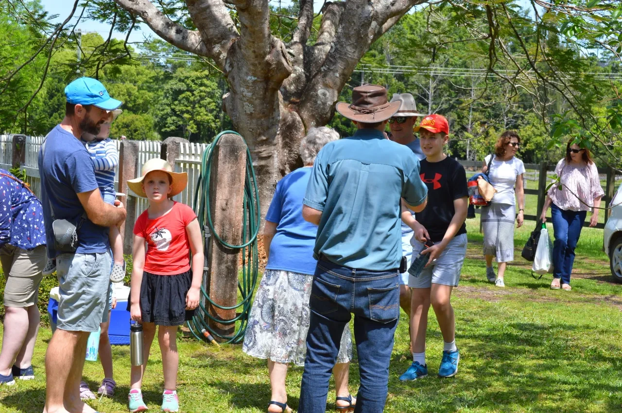 Campbell Family Reunion 2018 — group under tree